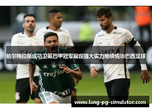 帕尔梅拉斯成功卫冕巴甲冠军展现强大实力继续统治巴西足球