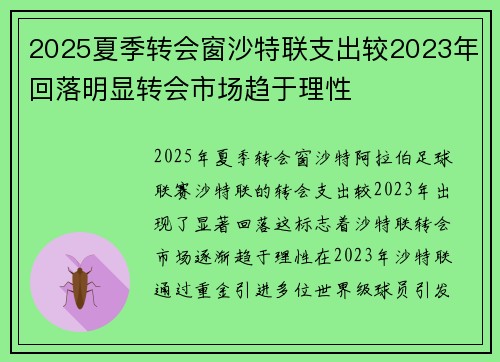 2025夏季转会窗沙特联支出较2023年回落明显转会市场趋于理性