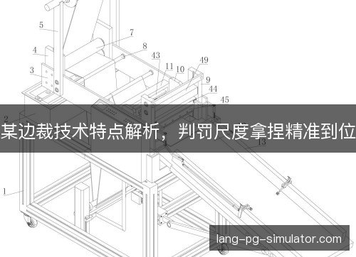 某边裁技术特点解析，判罚尺度拿捏精准到位